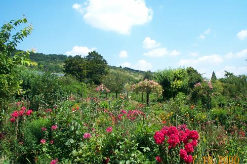 Monet Garden Landscape
