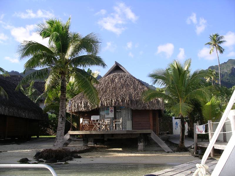 Click for original image