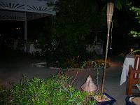 DSCN0618 