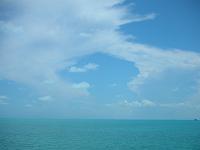 DSCN0628 