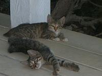 DSCN0631 