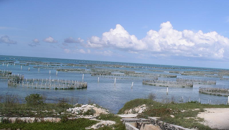 IMGP2978 