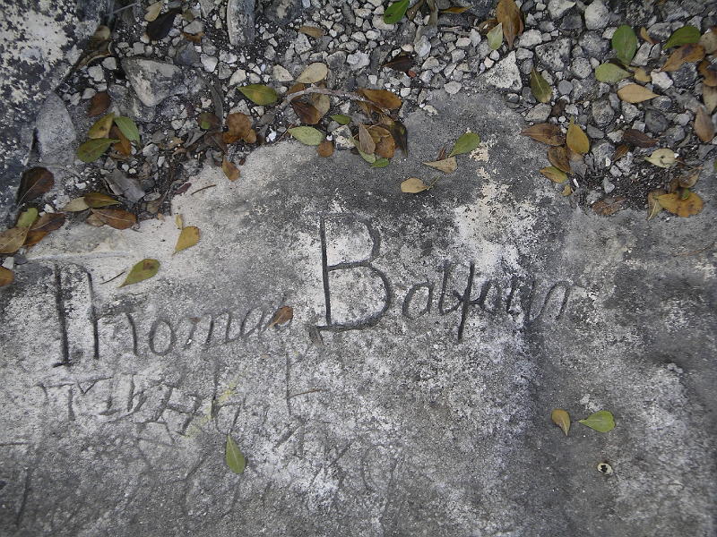 IMGP3004 