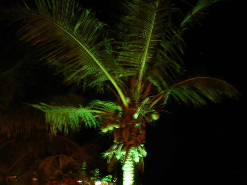 IMGP3022 