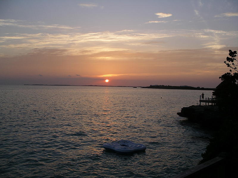 IMGP3037 