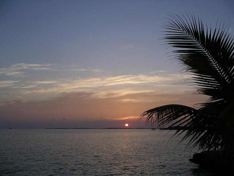 IMGP3040 