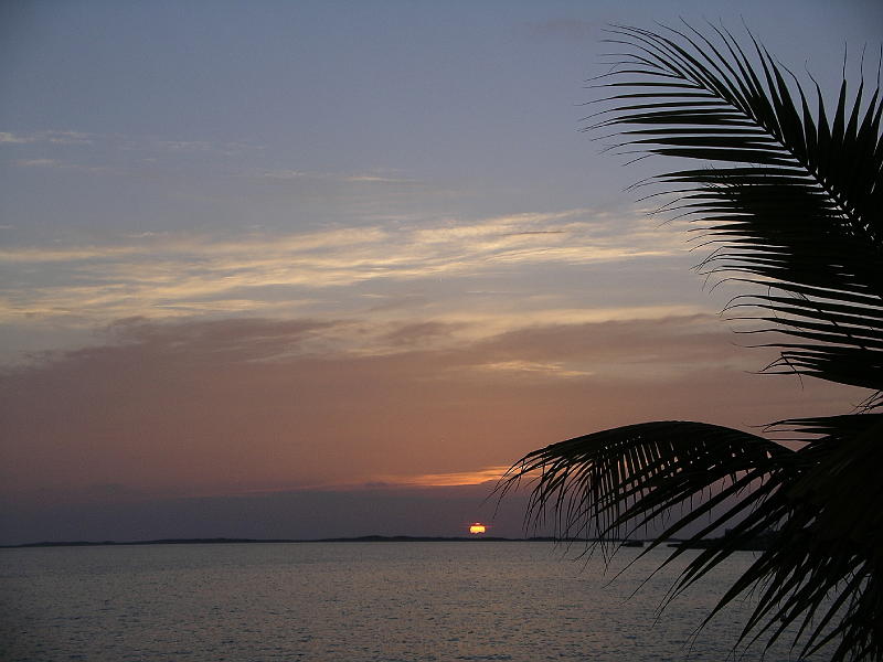 IMGP3043 