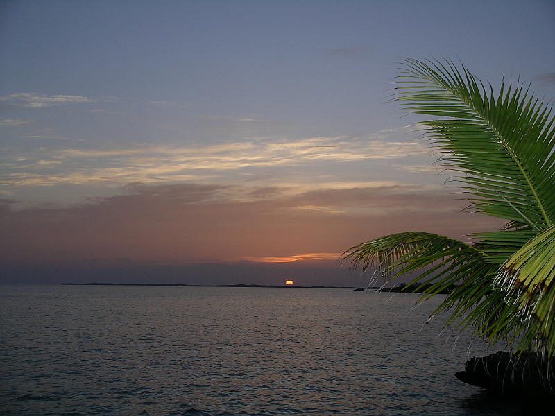 IMGP3044 