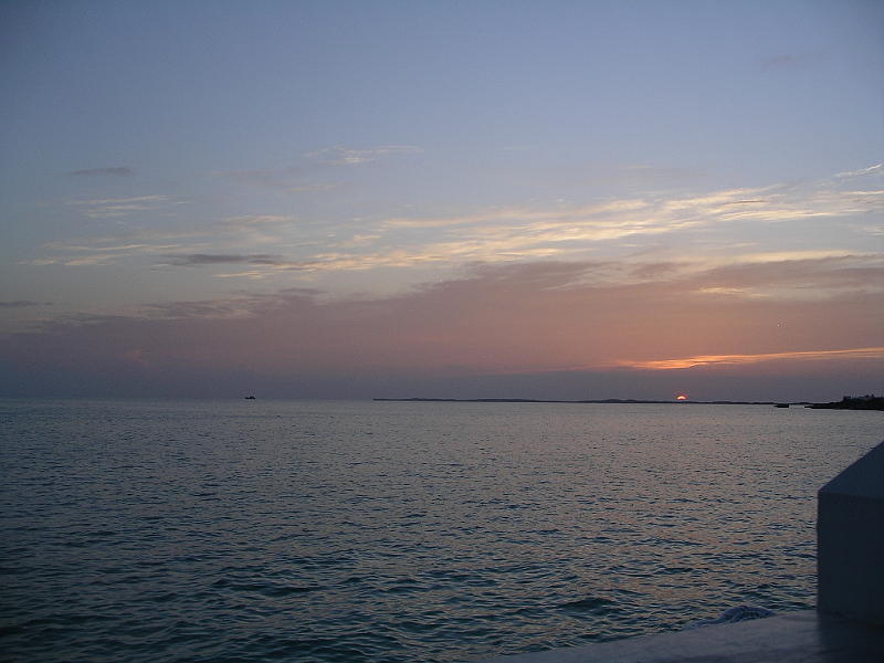 IMGP3046 