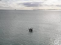 IMGP2899 
