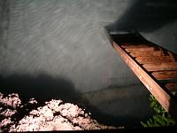 IMGP2908 
