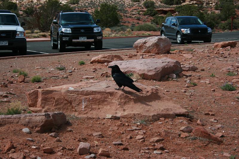 Canyonlands-03598