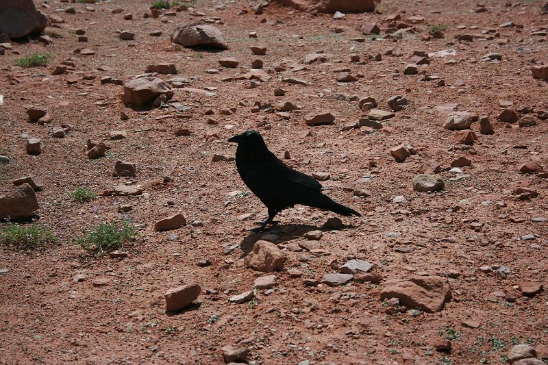 Canyonlands-03599