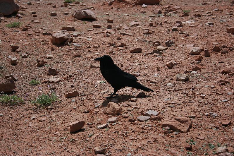 Canyonlands-03600
