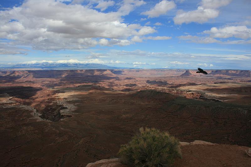 Canyonlands-03615