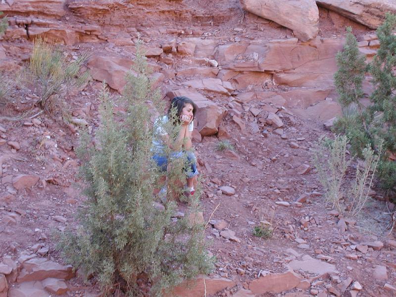 Kane's Creek-10028