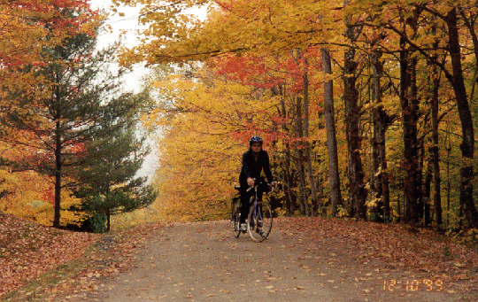 John On Bike In Trees