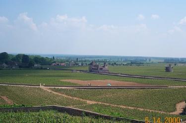 Lois Jadot Vineyards