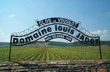 Sign at Lois Jadot Vineyard