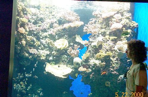 Mus�e Oc�anographiqe