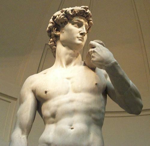 Torso of David